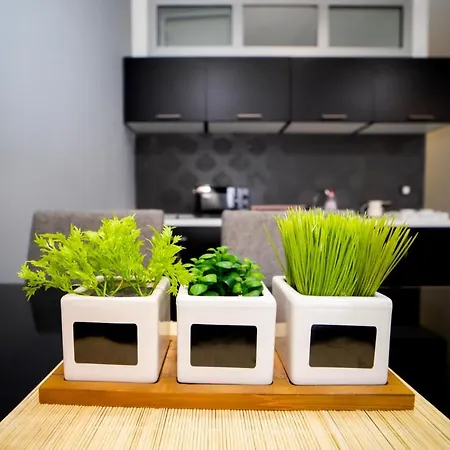 Ring * Obrenovac (Belgrade)